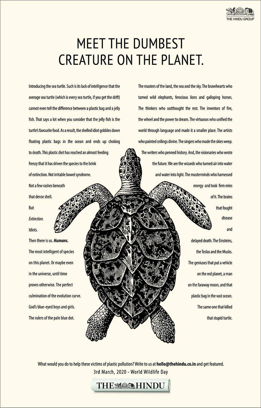 Image result for hindu sea turtles print ad Image result for hindu sea turtles print ad