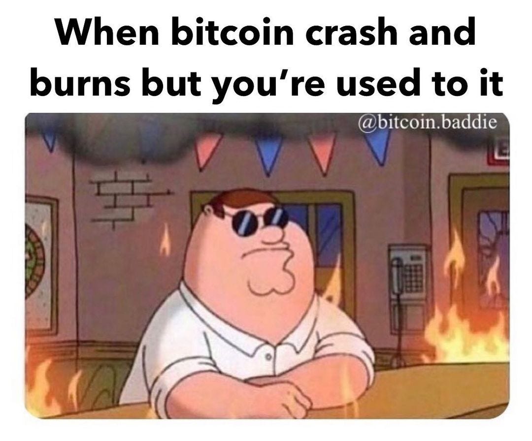 When bitcoin crash and burns but you are used to it meme - Finance Memes,  Tips, Photos, Videos