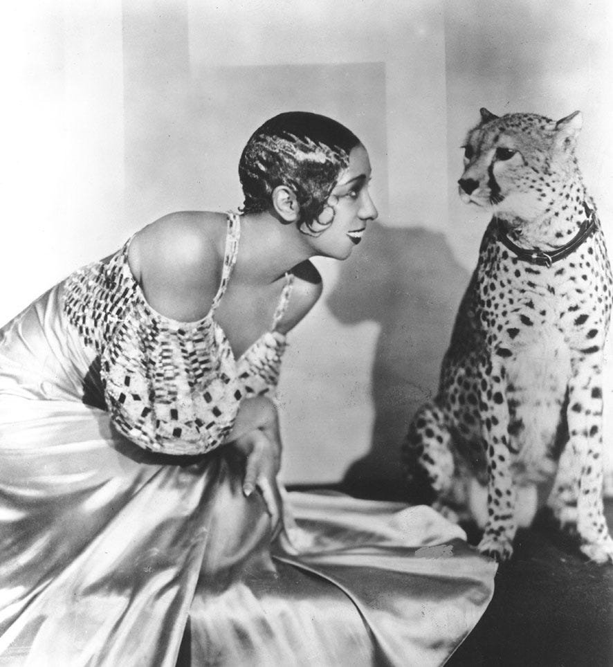 Villa Albertine on Twitter: "Happy #FrenchPetFriday! Josephine Baker was  not only a legendary performer, résistante, and civil rights activist, but  also an animal lover! She had pet dogs, cats, and birds. Here