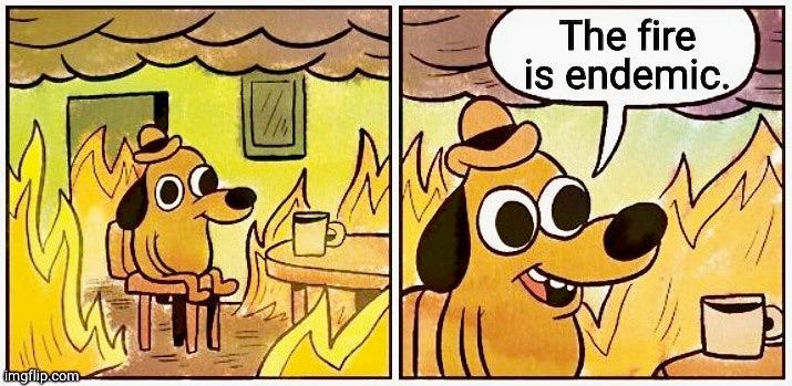 This is fine dog meme with the dog sitting in the room that's on fire except the second panel caption bubble says The fire is endemic.