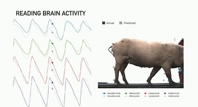 The Morning After: Elon Musk's brain implant is working -- in pigs