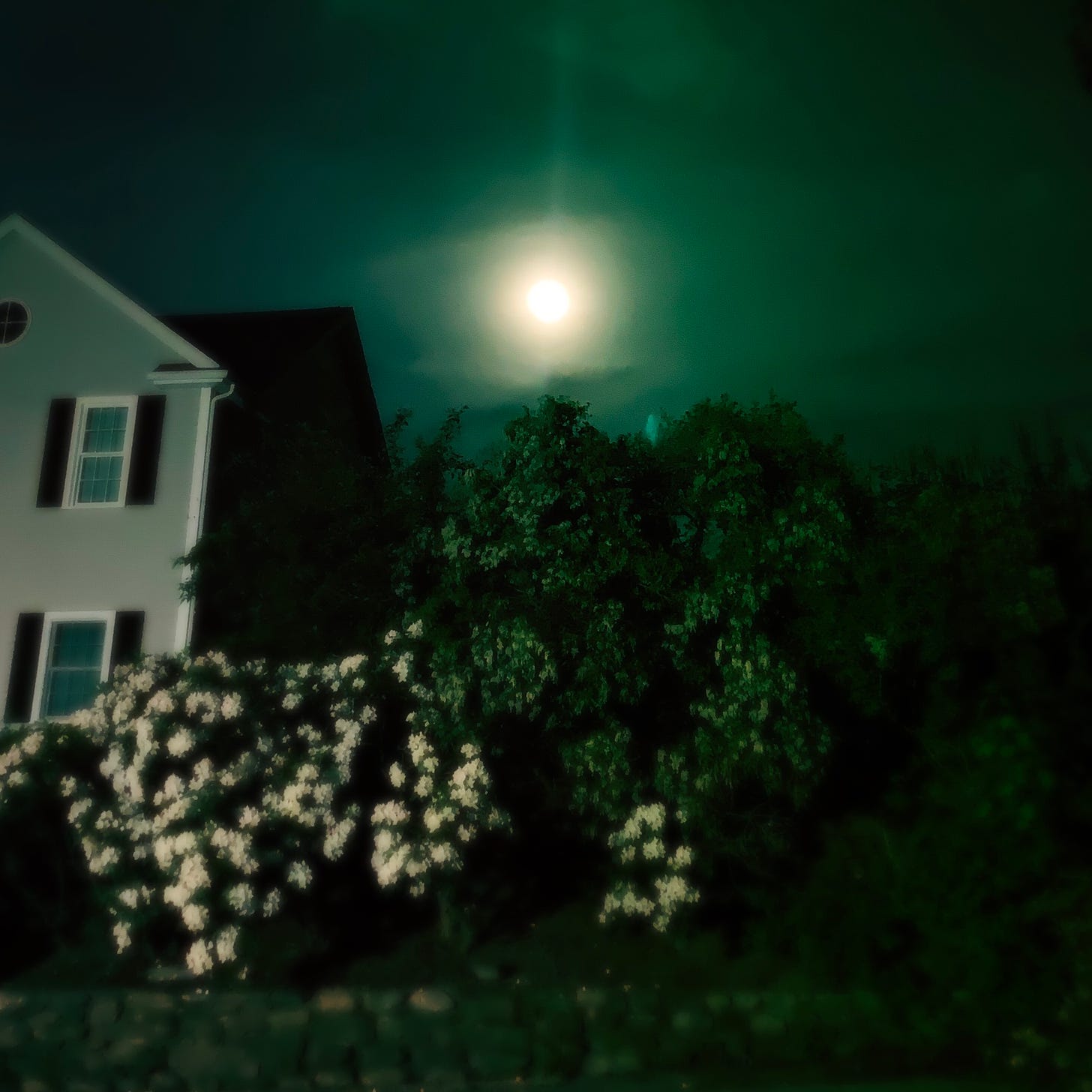 Image of full moon.