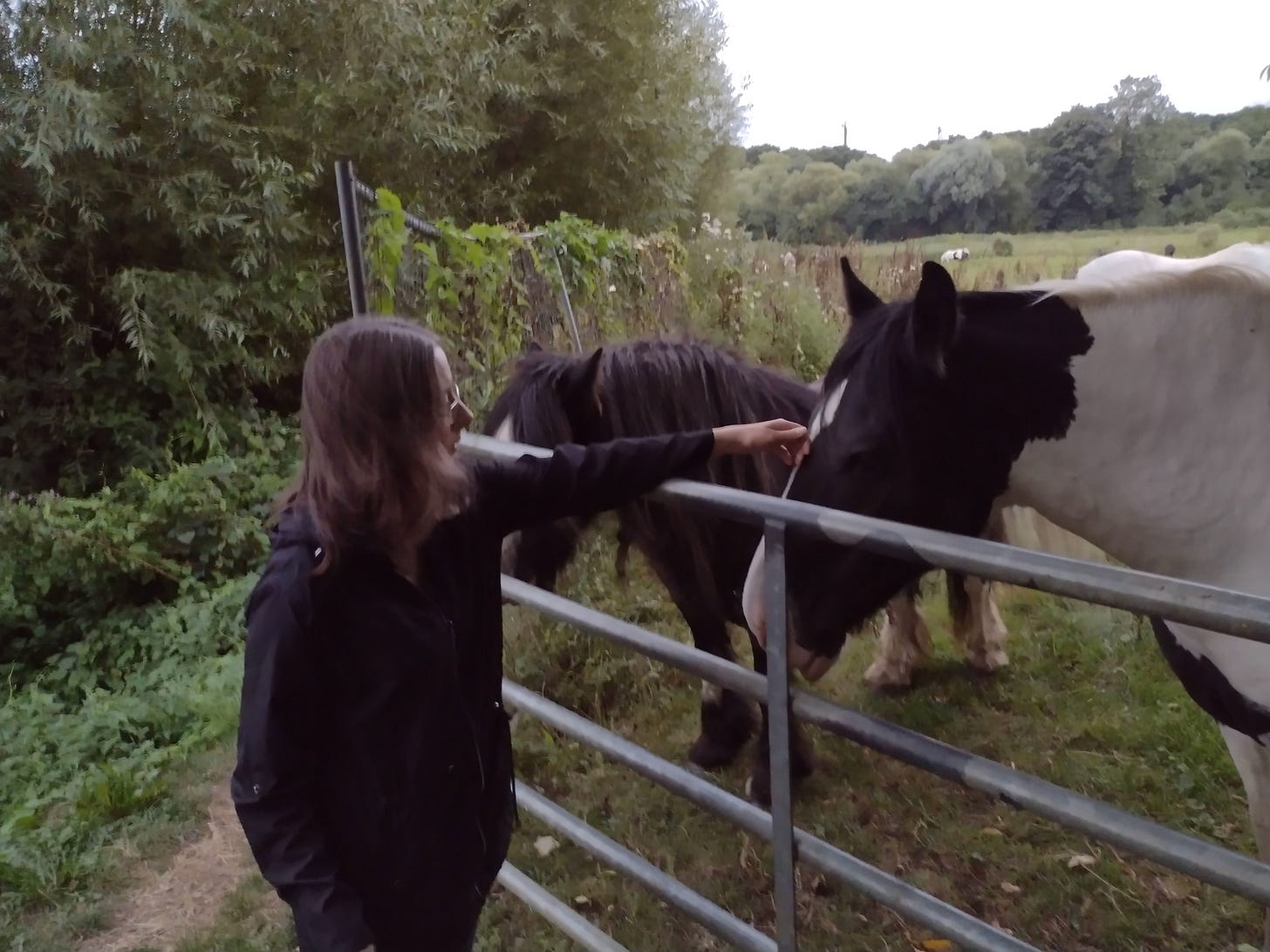 A woman (my wife) stroking the nose of a horse over a gate. Another horse looks on in the background