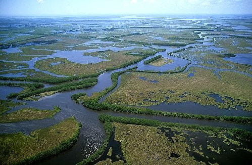 Aerial photo of Mississippi Delta Wetland, LA in 2021 | Mississippi delta,  Cool places to visit, River delta