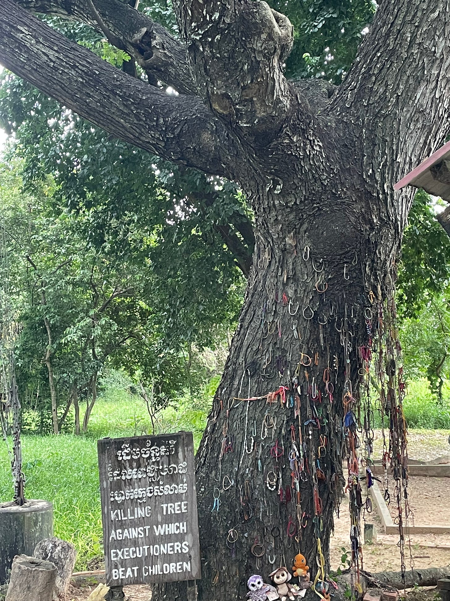A tall tree with many bracelets hanging from its trunk. A sign at the base reads "KILLING TREE AGAINST WHICH EXECUTIONERS BEAT CHILDREN" in Khmer on top and English on bottom.