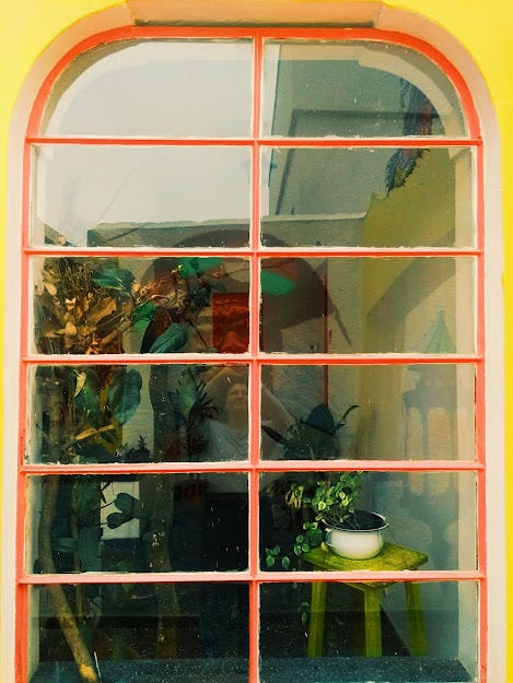 Foto de uma janela cor de rosa. No reflexo, vemos plantas e Beatriz, que tira a foto com o celular". A parede ao redor da janela é amarela.