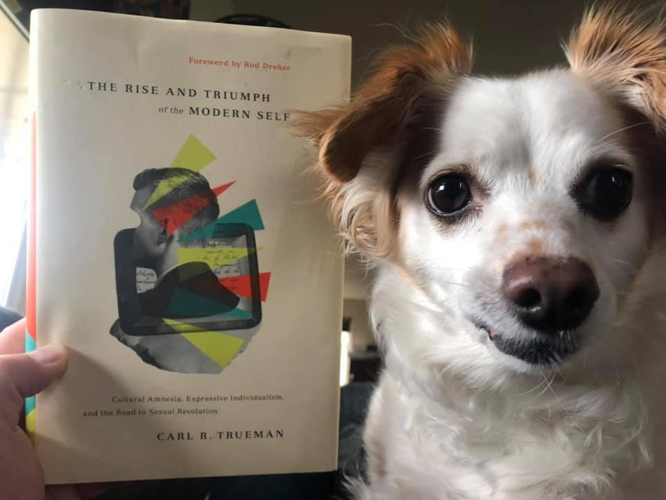 May be an image of dog and book