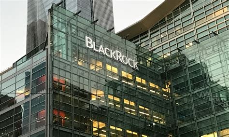 BlackRock is let go by its main shareholder, who will sell ...