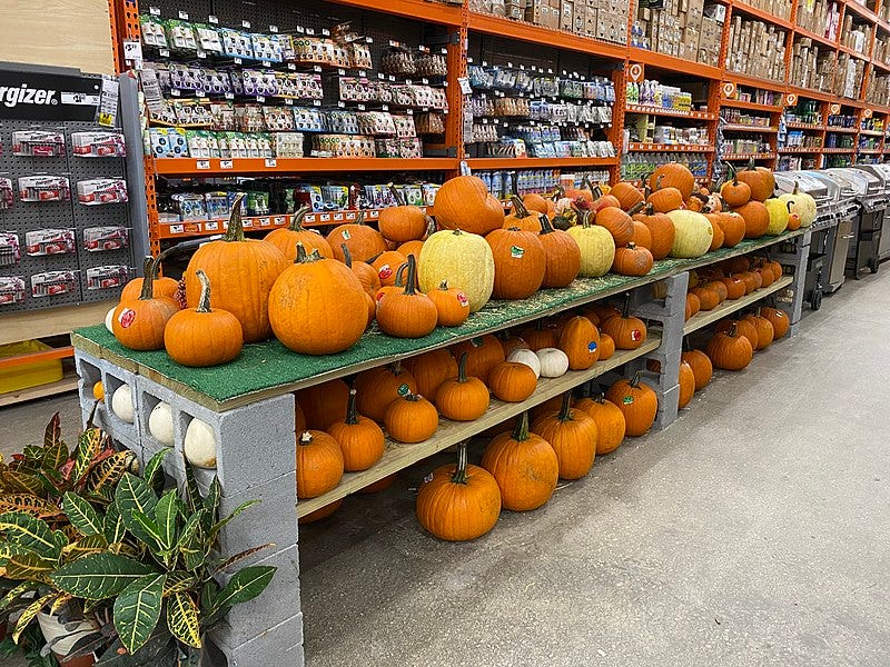 File:Halloween Pumpkins Home Depot Miami FL 2022-09-25.jpg