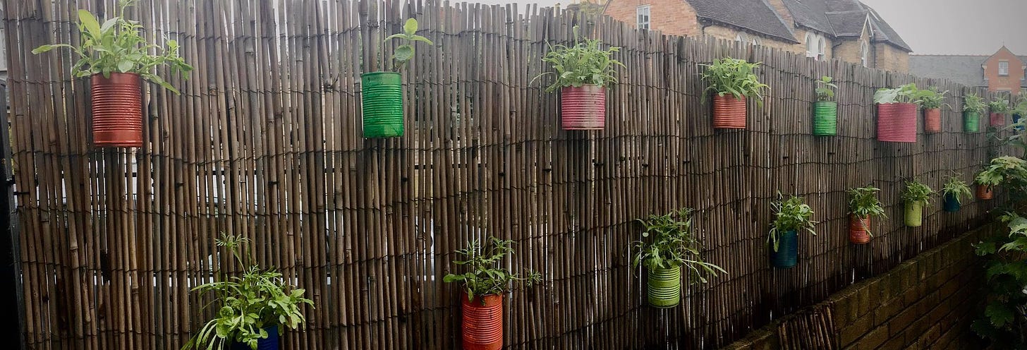 Rainbow spray painted tin cans attached to a fence with plants growing in them 