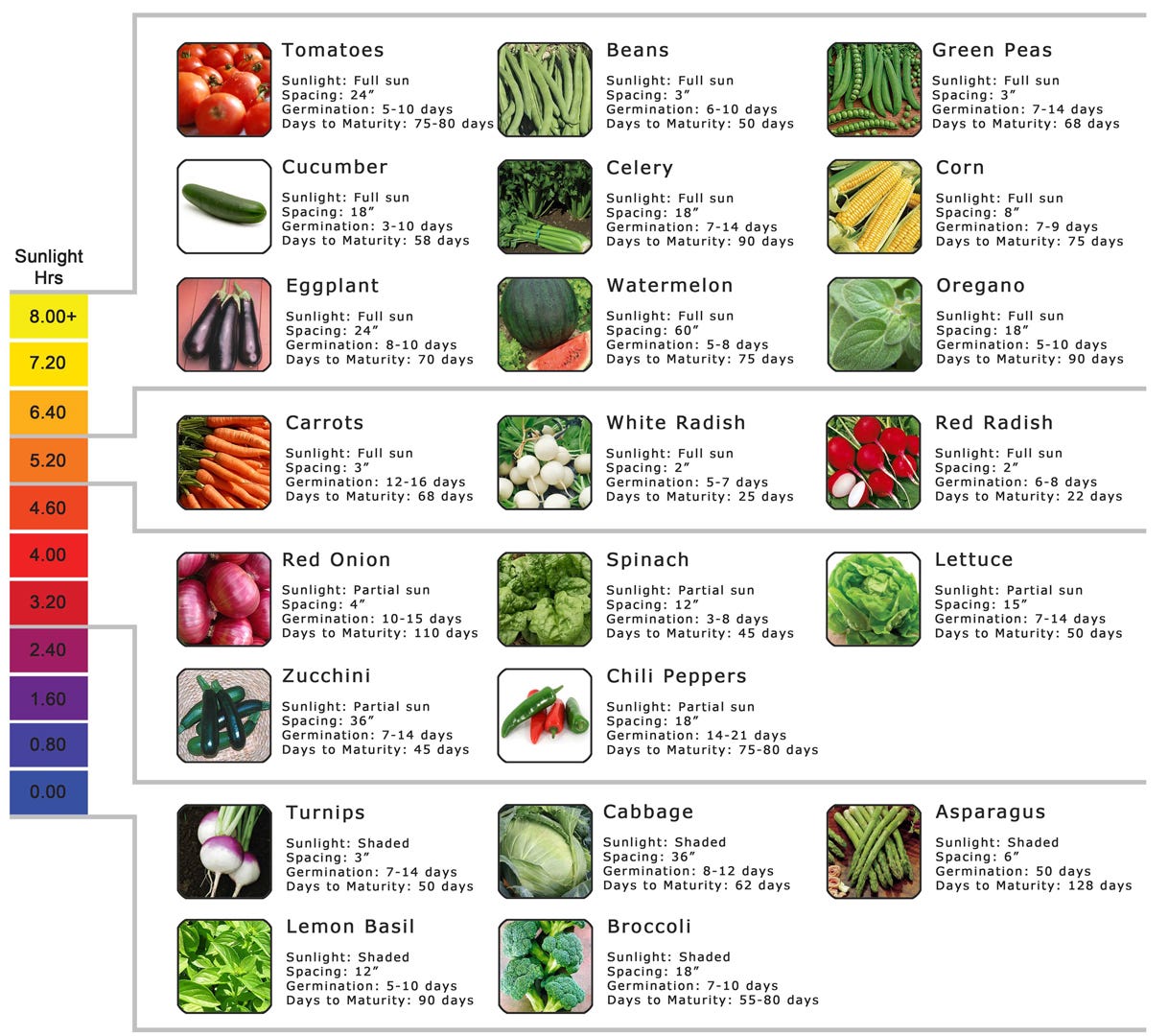 sunlight requirement for various hydroponic crops