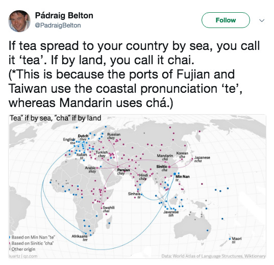 Screenshot of an interesting tweet about tea. 