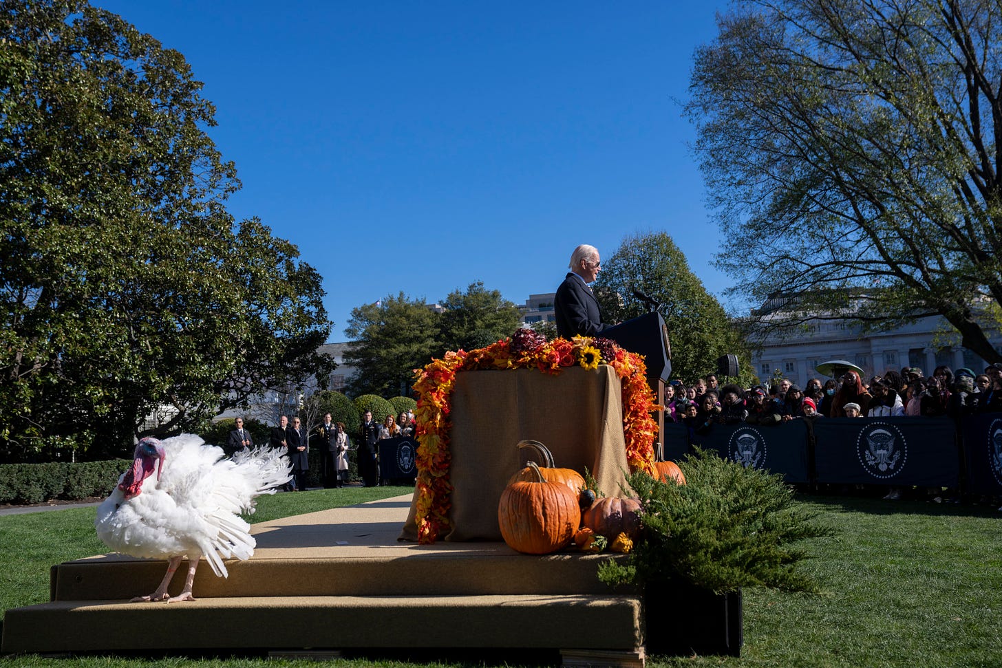 President Biden pardons the National Thanksgiving Turkey.