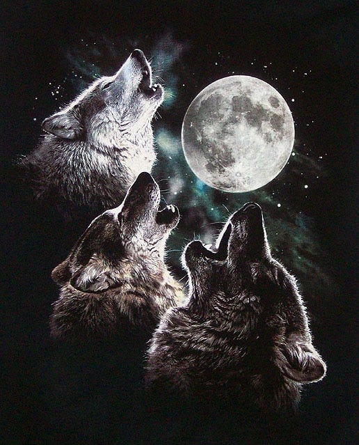 Wolves Always Howl at the Moon - TV Tropes