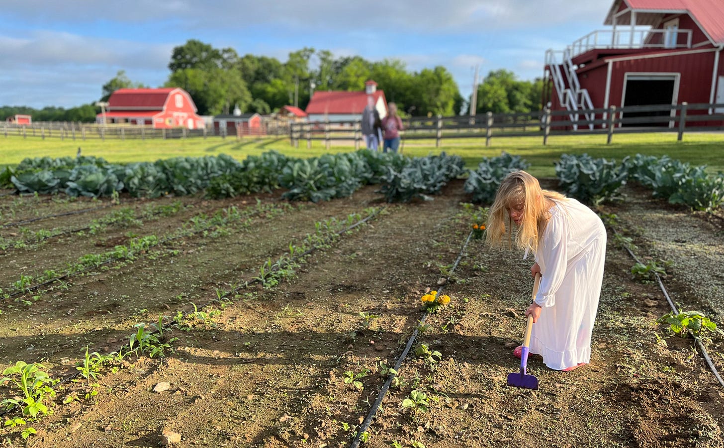 Indy in her night gown hoeing in the garden