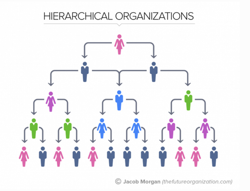 Pyramid structure of hierarchal organization model.