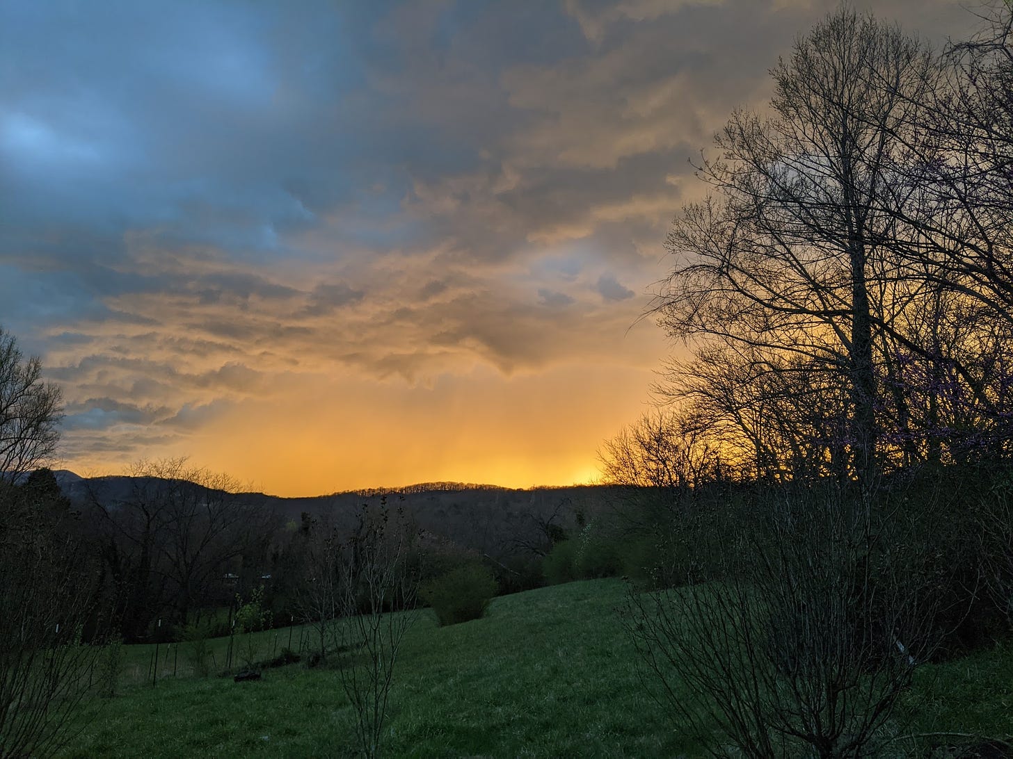 The last of an orange sunset, fading into blue-gray clouds, silhouettes trees as it disappears behind the mountains.