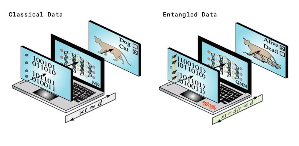 A drawing of two laptops. The left laptop, labeled classical data, shows 1s and 0s on its screen, and then interlinked lines, and finally an identified cat. The right laptop, labeled entangled data, shows the same but the third screen identifies the cat as alive.
