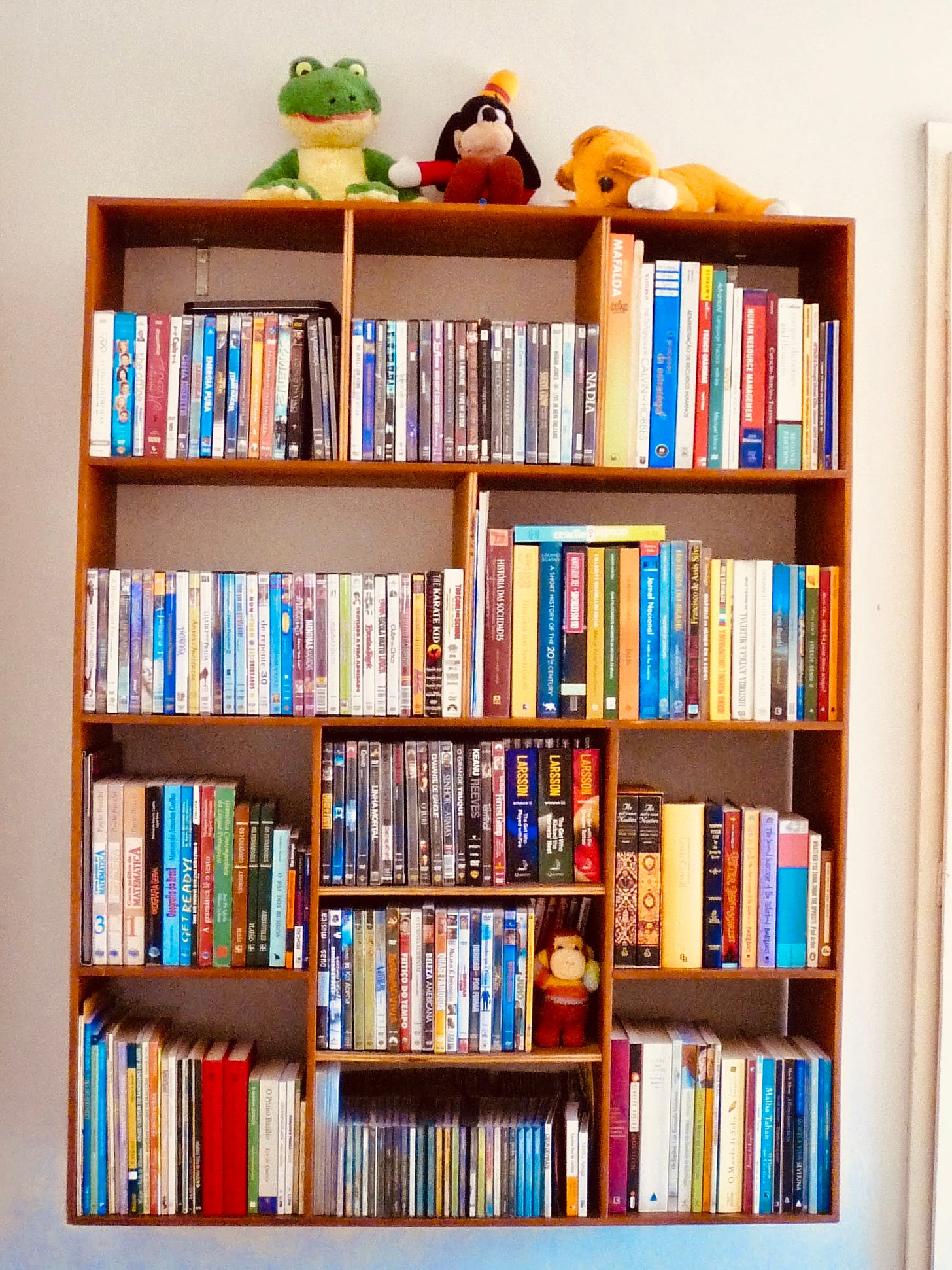 Estante de Cintia, fixada à parede, com diversos nichos cheios de livros, CDs e DVDs. No topo, 3 bichinhos de pelúcia: um sapinho, um Pateta e um Simba, do Rei Leão.