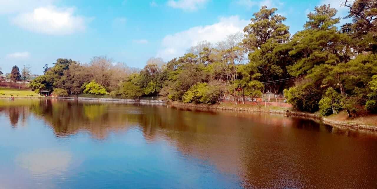 Ward’s Lake Shillong.