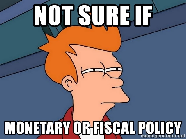 Not sure if Monetary or fiscal policy - Futurama Fry | Meme Generator