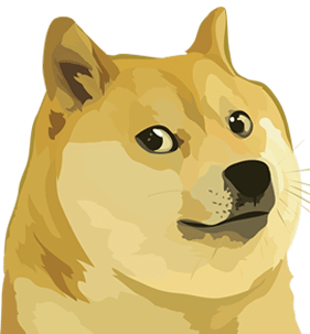 The rise of dogecoin and celebrity influence