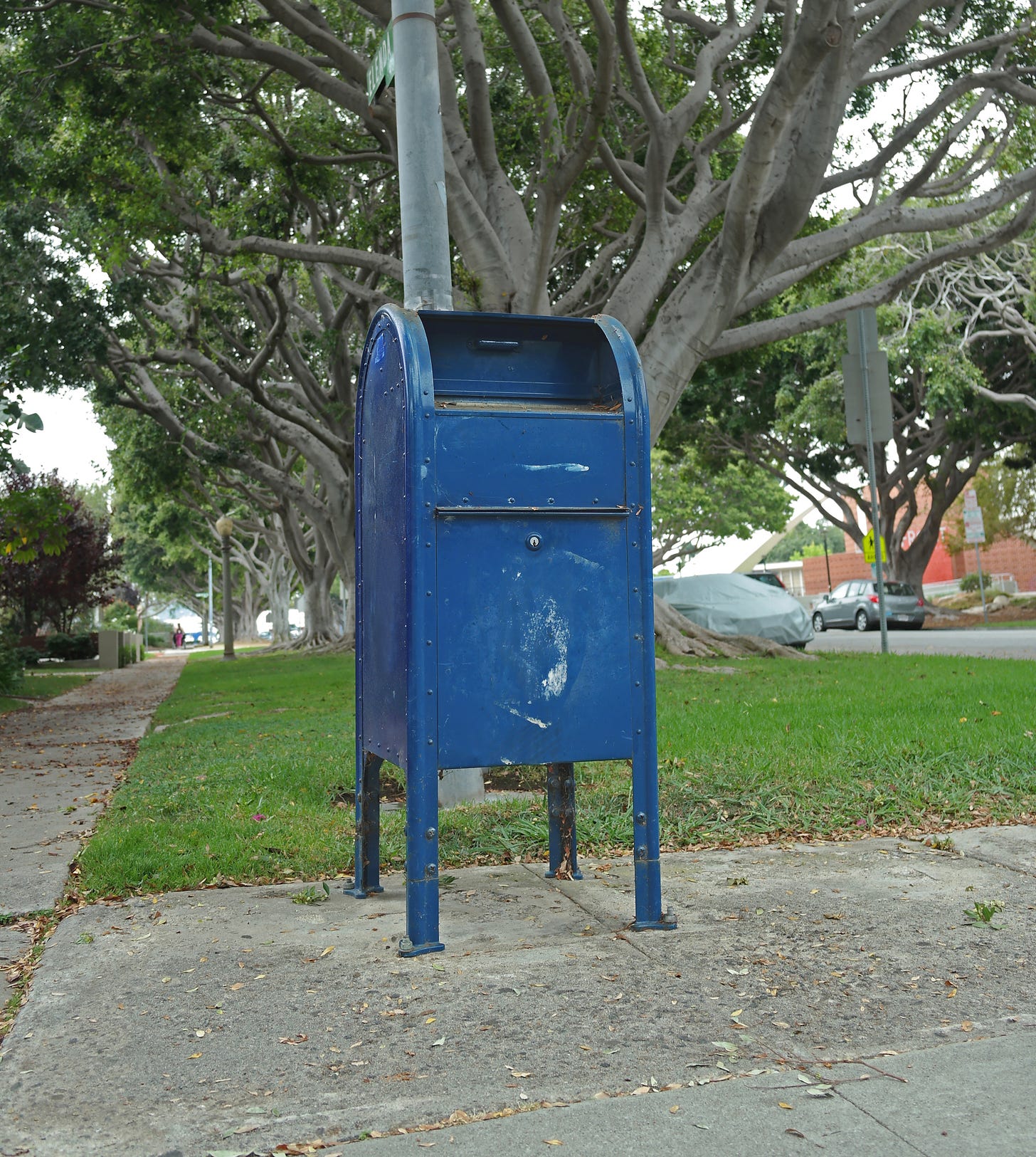 US Postal Service box on treelined street