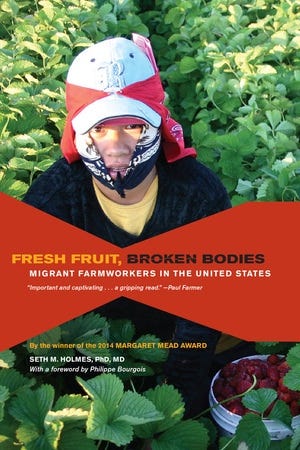 Fresh Fruit, Broken Bodies by Seth M. Holmes