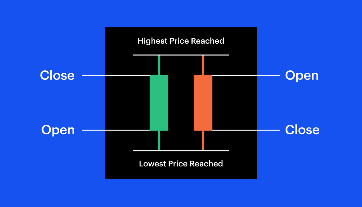 Showing red and green candlesticks and where the open and close prices are. 
