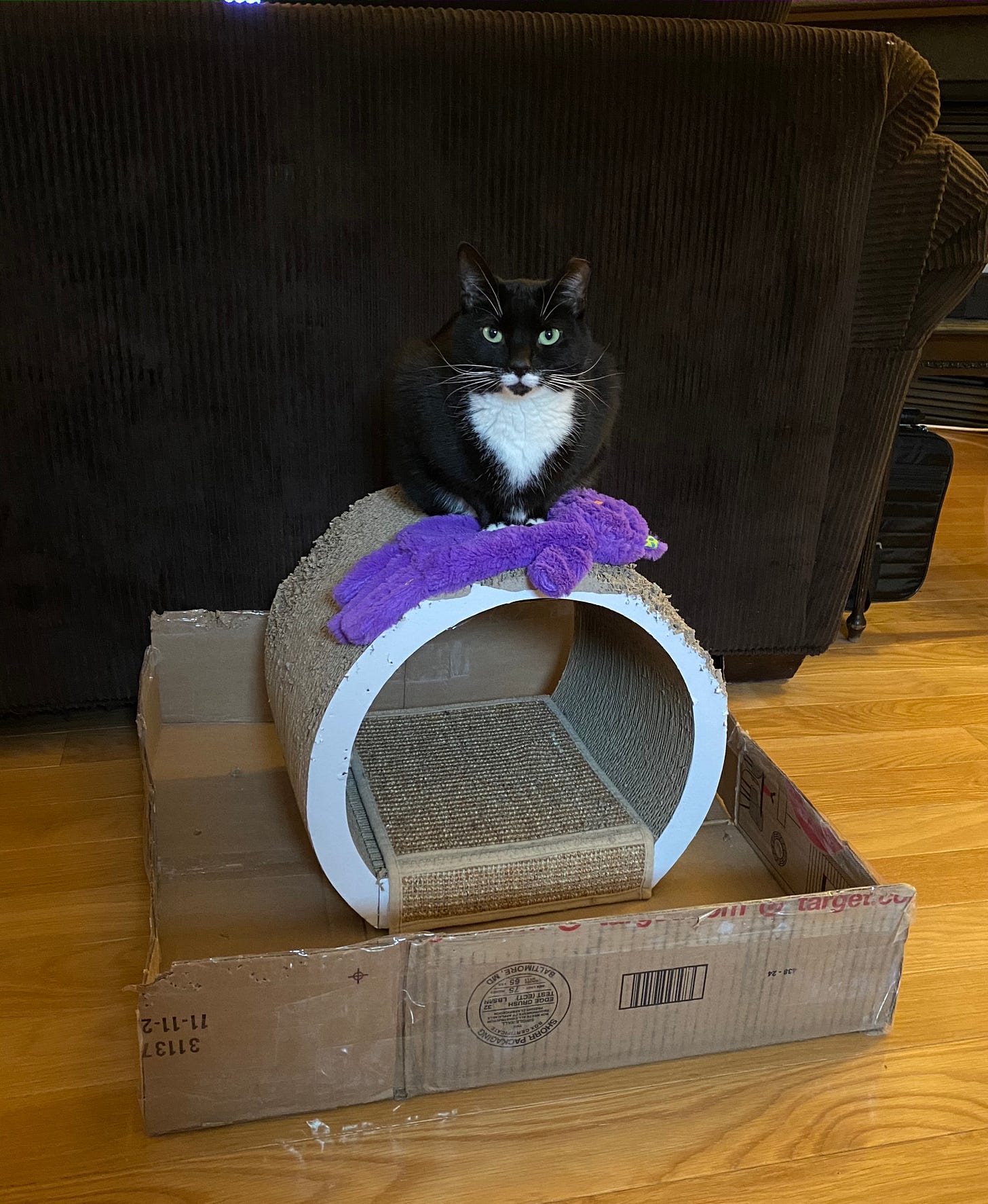 A black and white cat sits on top of a purple cat toy in the shape of a cat, on top of a round tunnel-like cat scratcher, inside a shallow, large cardboard tray.