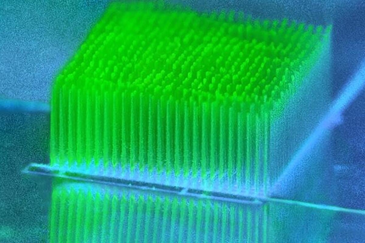 A new type of 3D-printed electrode acts like a set of tiny skyscrapers to boost the bioenergy generated by photosynthetic bacteria