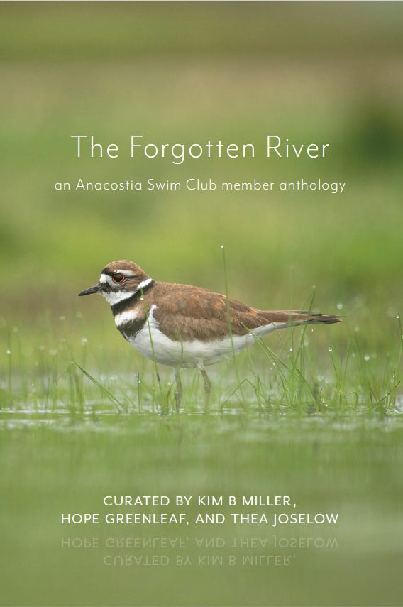 The Forgotten River book cover