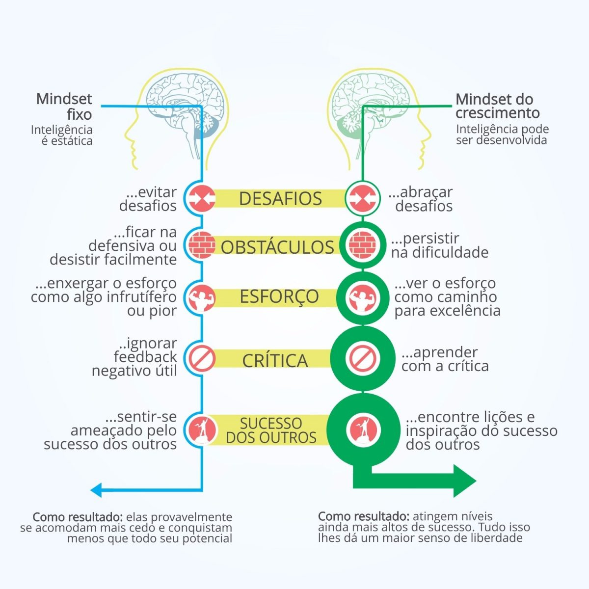 Qual o seu Mindset? Programe sua mente para o sucesso com dicas do  best-seller - AprendeAí