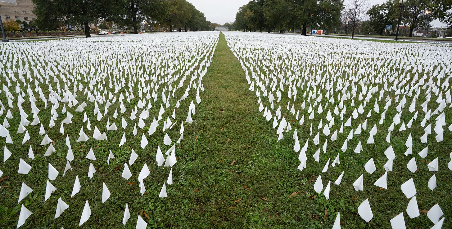 Image of a field of small white flags