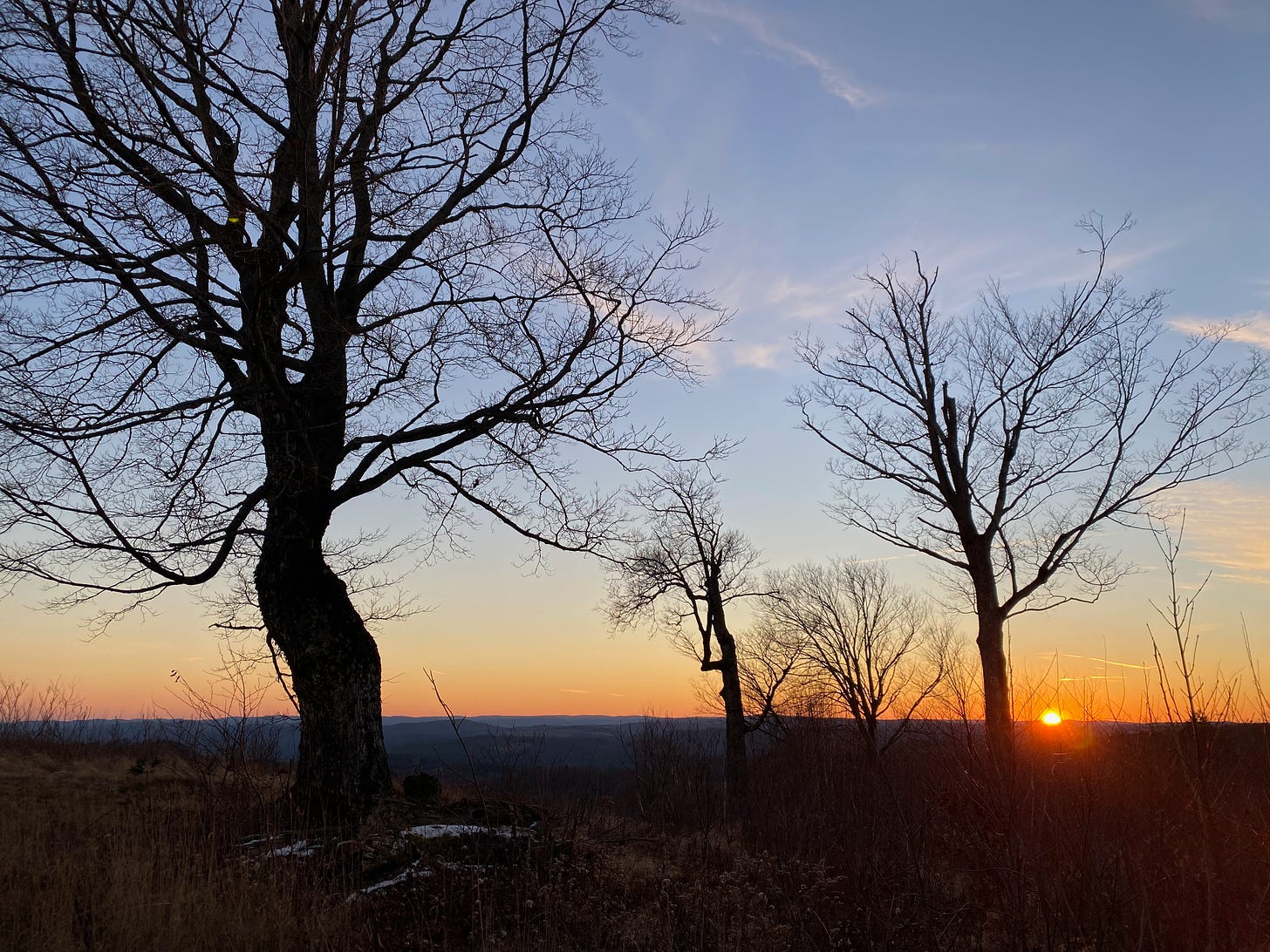 Dark silhouettes of several bare trees on a hill at sunset. The sky is a gradient of blue to pale orange to deep gold, and the sun is a bright orange orb, just dipping below the horizon.