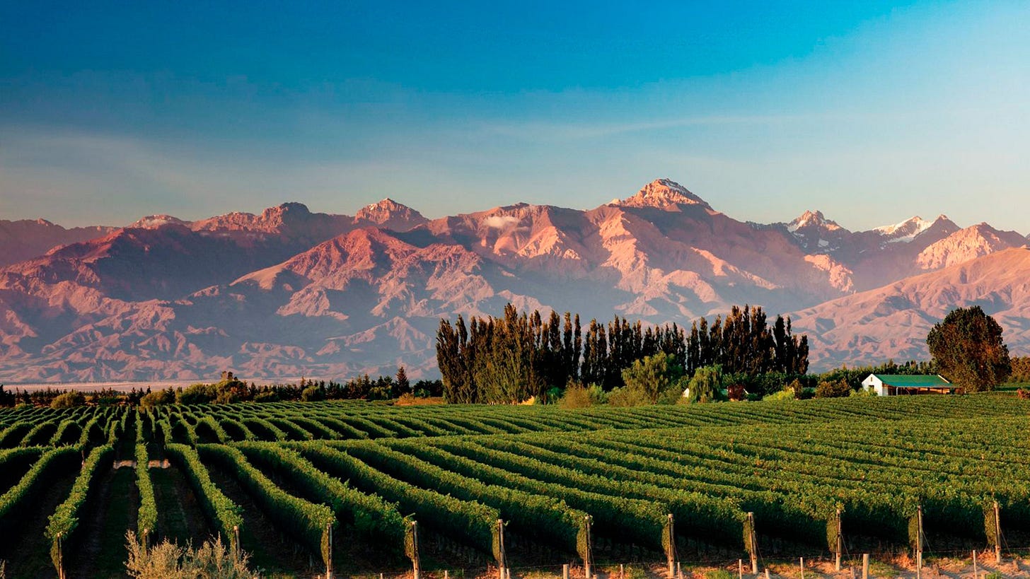 Provincia de Mendoza, ideal para amantes de la aventura y el buen vino