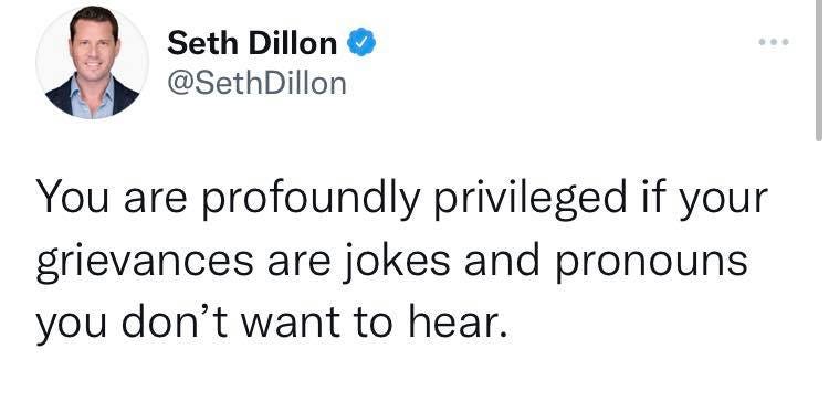 May be a Twitter screenshot of 1 person and text that says 'Seth Dillon @SethDillon You are profoundly privileged if your grievances are jokes and pronouns you don't want to hear.'
