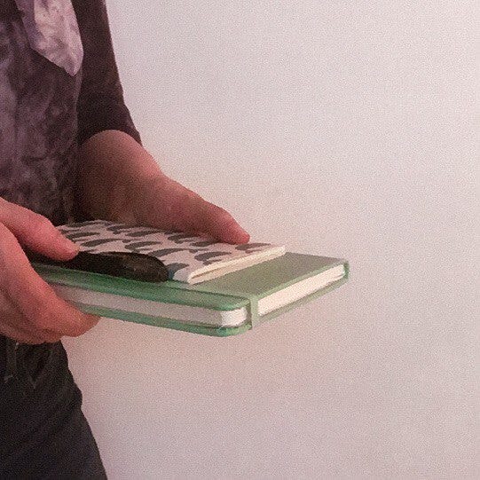 Uma mão branca segura um caderno verde, um caderno pequeno e uma caneta