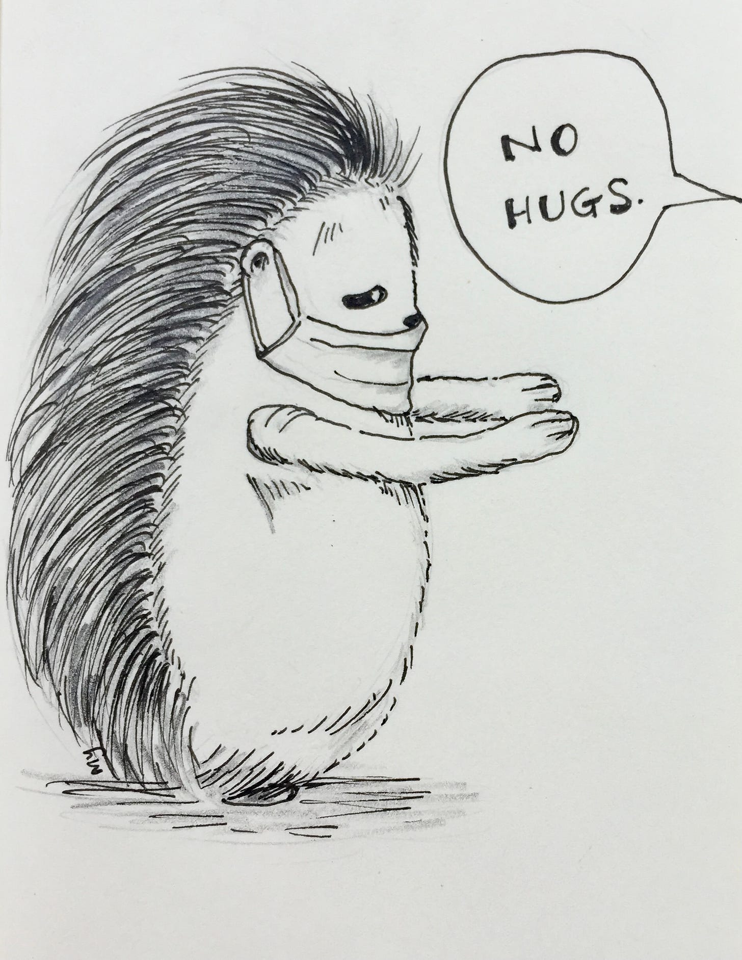 ink and pencil drawing of porcupine wearing a mask, holding up both of its hand, reaching out for a hug. but the other party said, no hugs. Because of the COVID19 virus. Porcupine has a sad, droopy eye. 