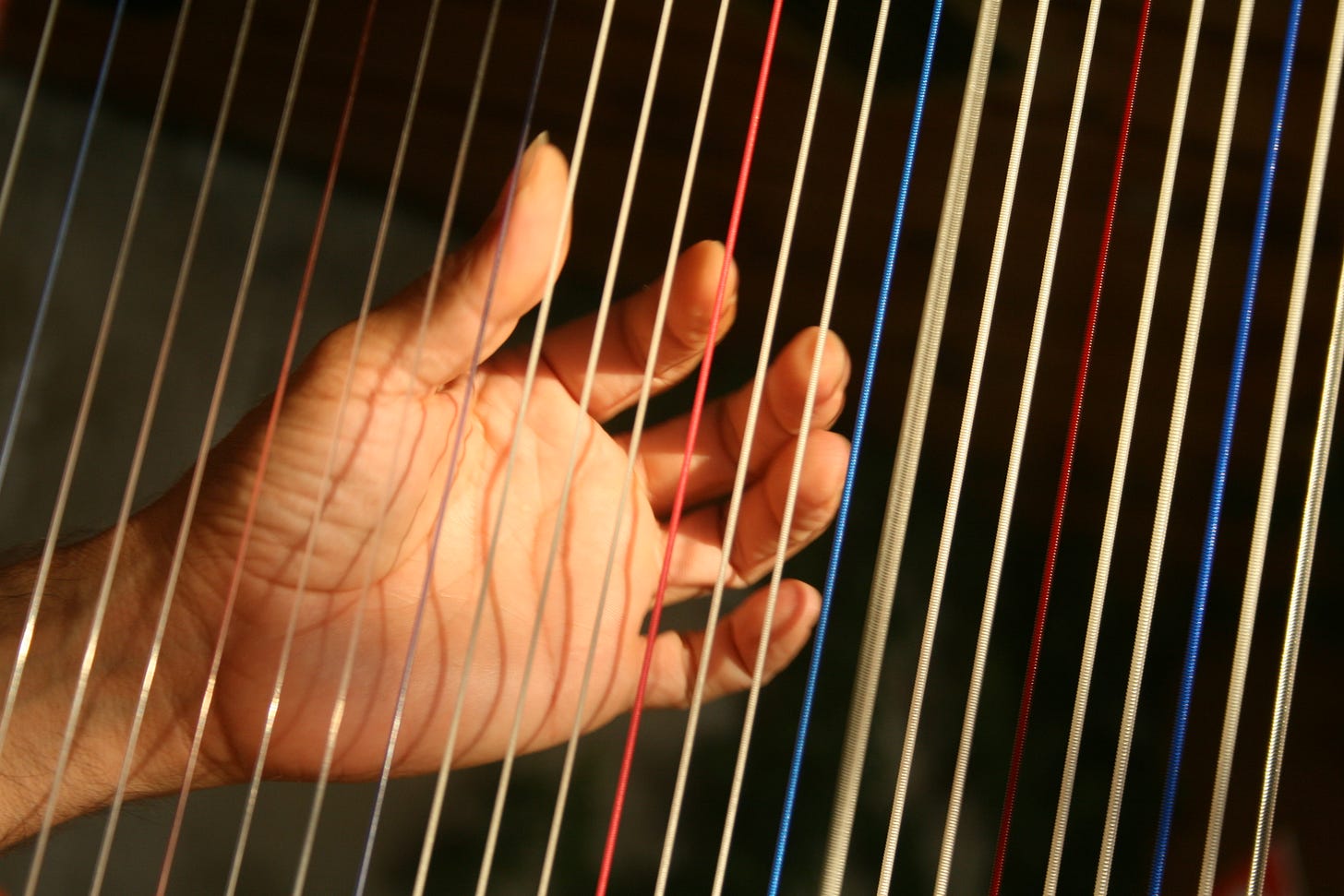 File:Harpist hands img 5000.jpg - Wikimedia Commons