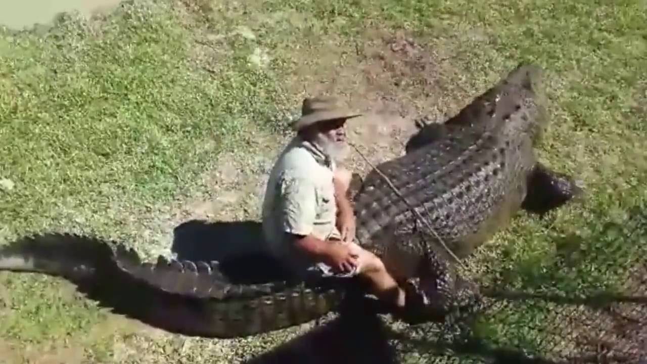 Risking It Old Man Rides His Huge Pet Crocodile - YouTube