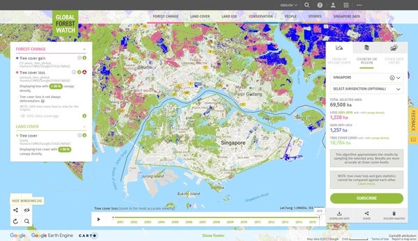 Blue: Tree cover gain; Pink: Tree cover loss