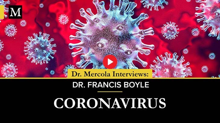 dr francis boyle bioterrorism