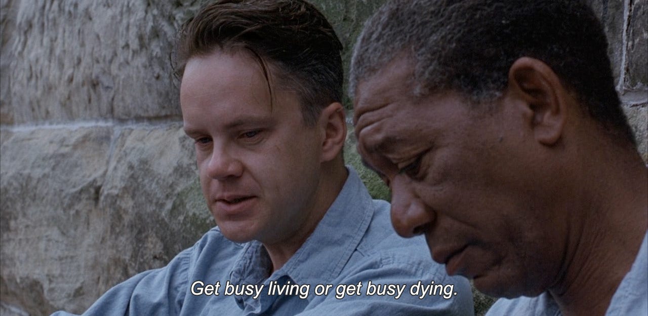 ― The Shawshank Redemption (1994)
“Get busy living or get busy dying.”