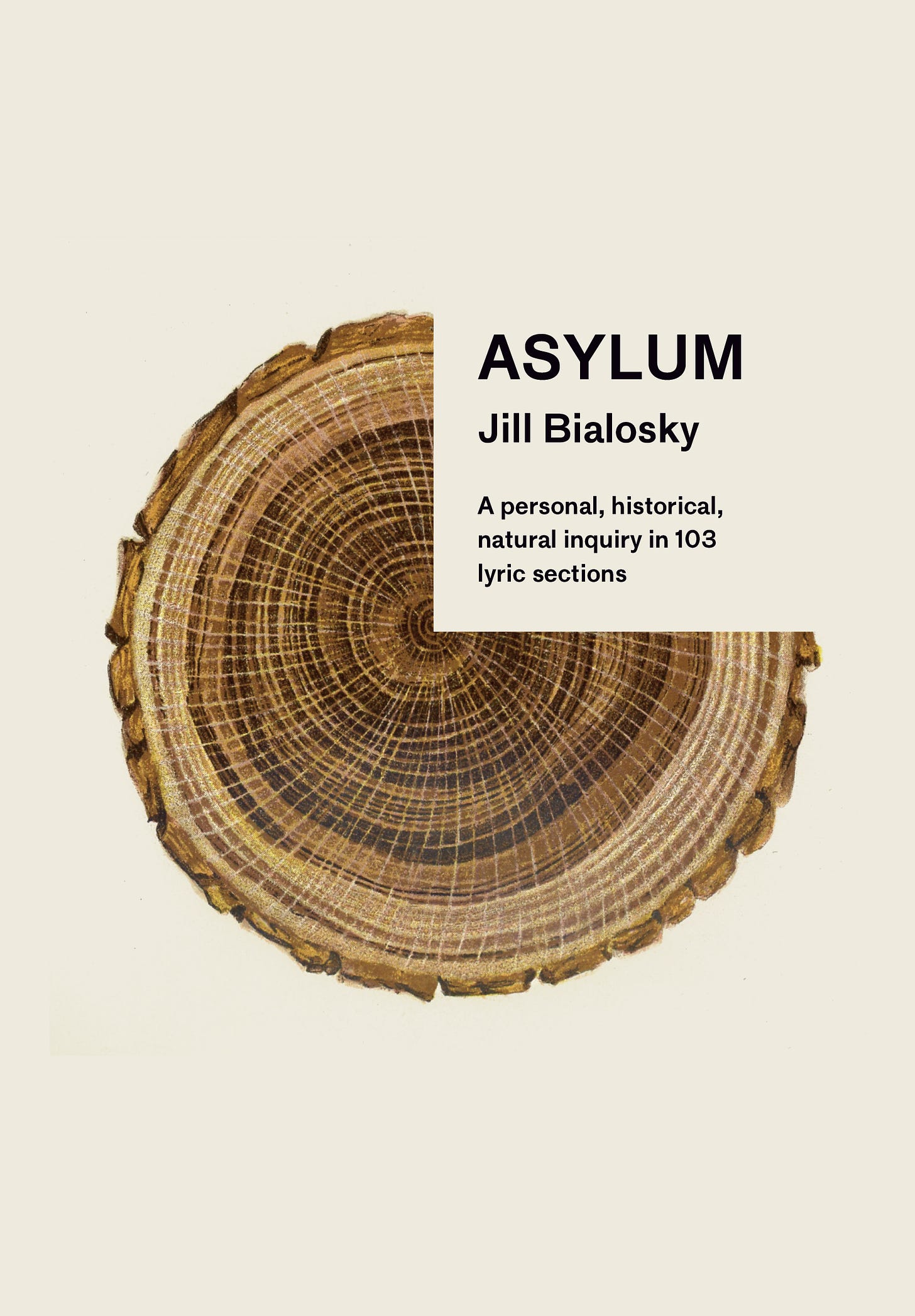 This is the cover of Asylum by Jill Bialosky