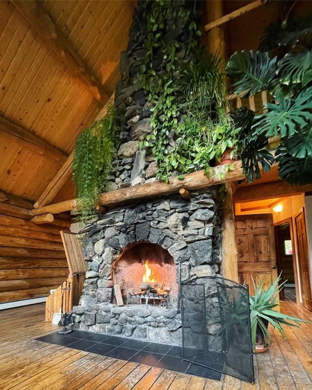 stone fireplace with plants draping over it