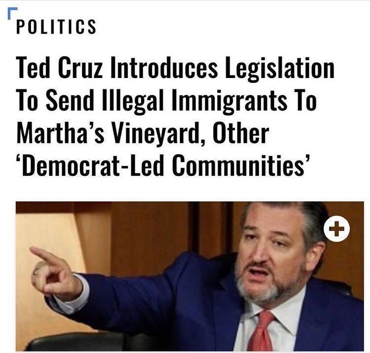 May be an image of 1 person and text that says 'POLITICS Ted Cruz Introduces Legislation To Send Illegal Immigrants To Martha's Vineyard, Other 'Democrat-Led Communities' +'