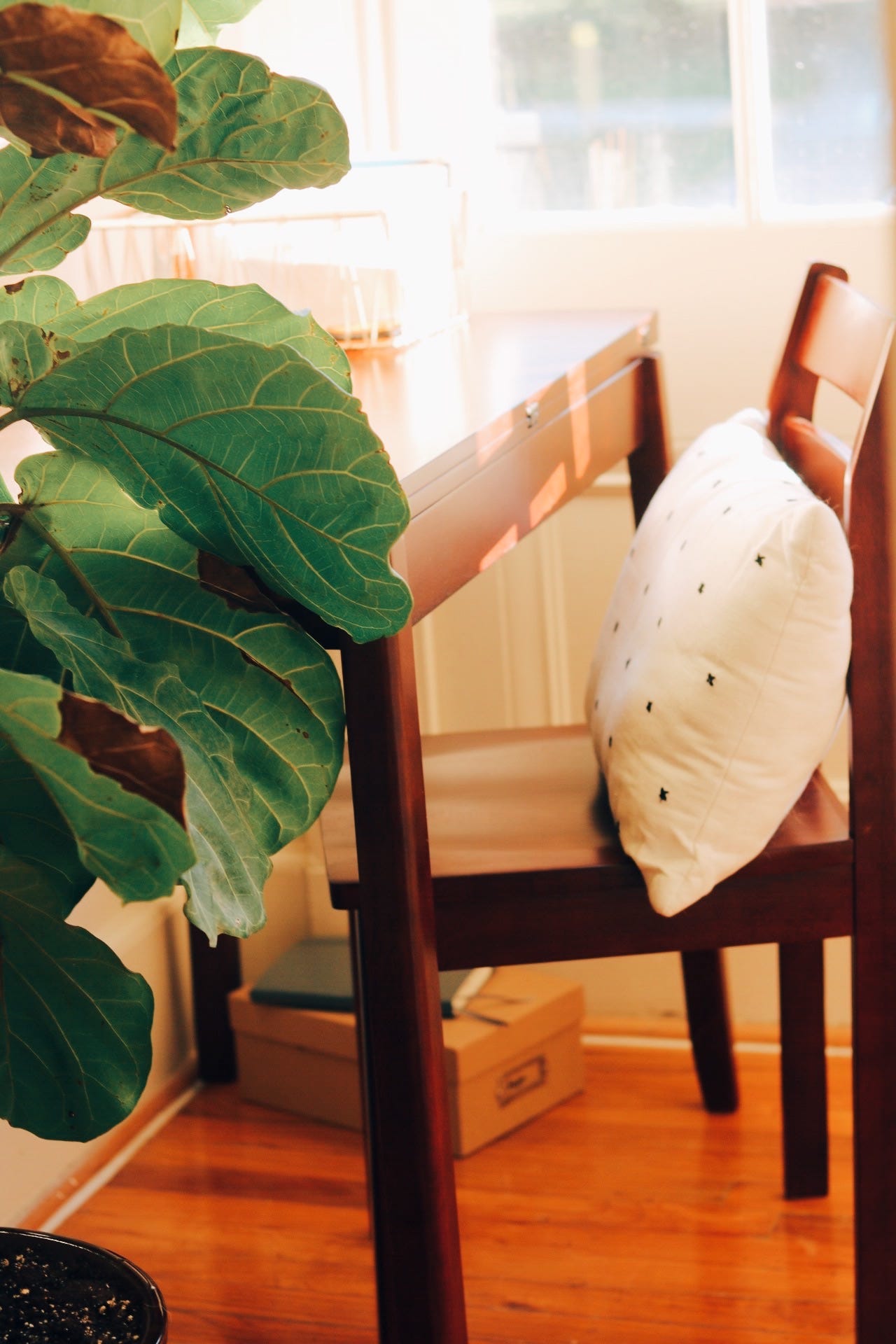  I love the natural lighting in this entryway.  It’s one of the things that made me instantly fall in love with this house because there is so much natural light everywhere!  The entryway is currently acting as my office space so we have a small tabl