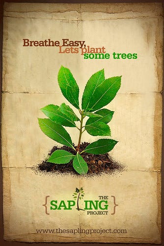 The Sapling Project Poster