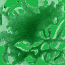 An animated loop of abstract web-shapes painted in blood flashing and changing shading, all tinted green on green.